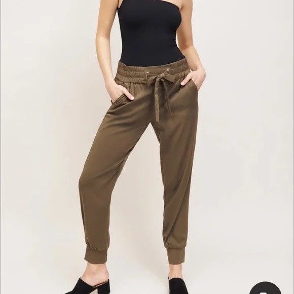 Dynamite Green Taupe Pants - Picture 1 of 7